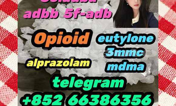 Medium with watermark 14