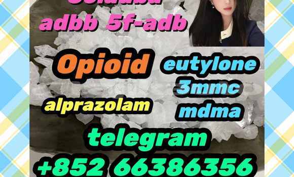 Medium with watermark 15