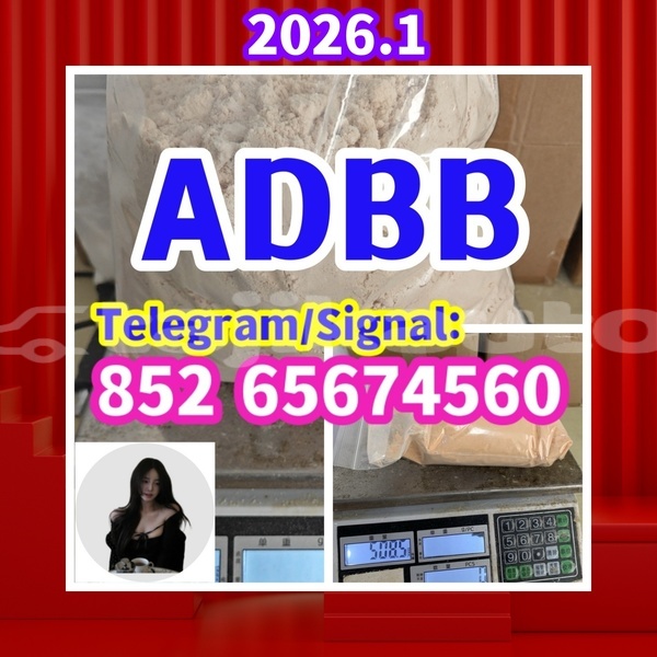 Big with watermark adbb1 %e5%89%af%e6%9c%ac