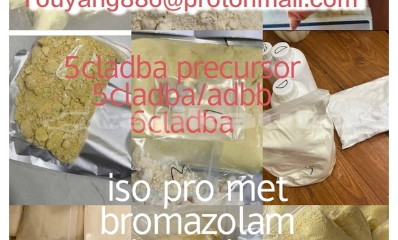 Medium with watermark img 20251228 210944