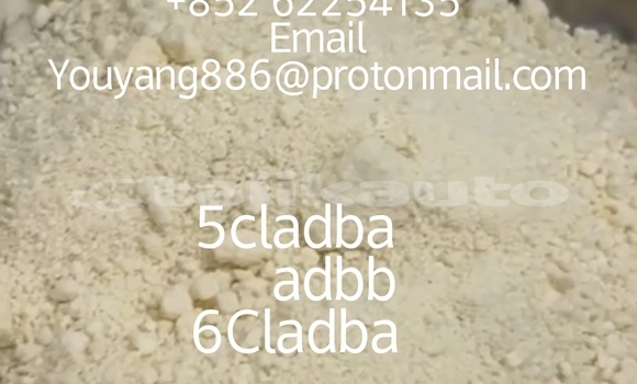 Medium with watermark img 20251229 135343