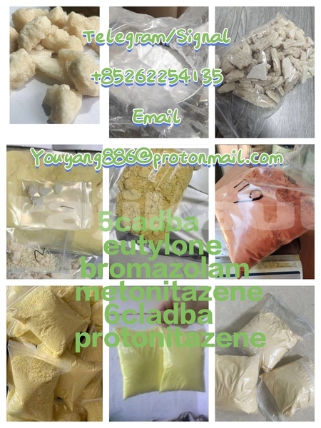 Big with watermark img 20251228 154135