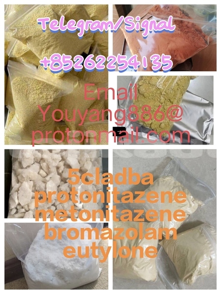 Big with watermark ajp galp khatlon dangara 6403