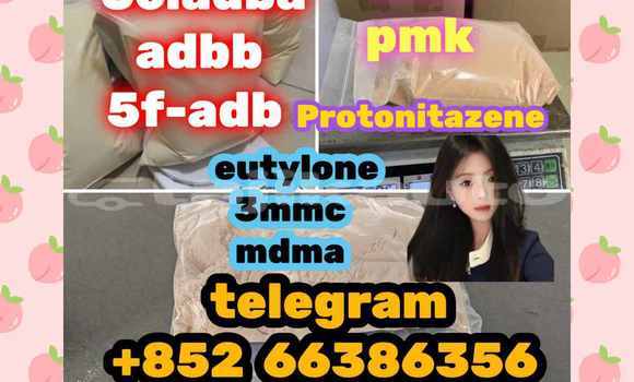 Medium with watermark 4