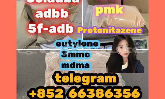 Medium with watermark 6