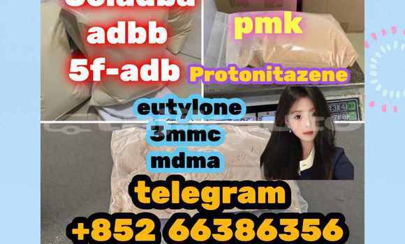 Medium with watermark 7