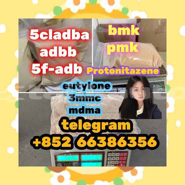 Big with watermark 11