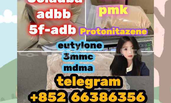 Medium with watermark 12