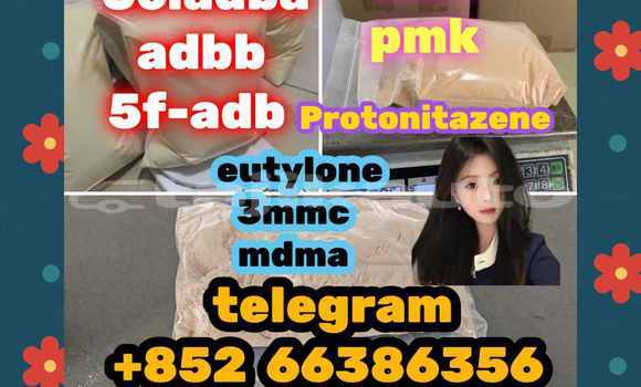 Medium with watermark 15