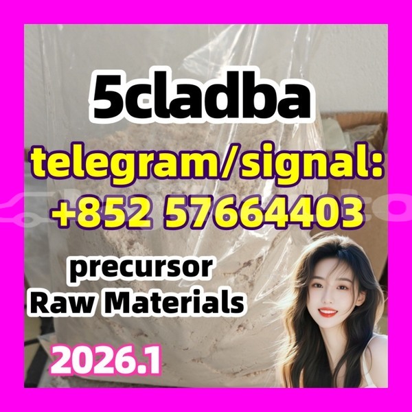 Big with watermark 5cl5