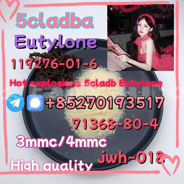 Big with watermark 4