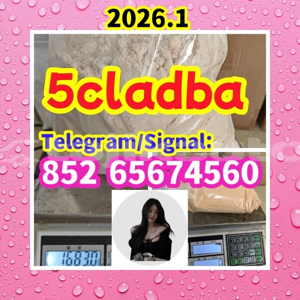 Big with watermark 5cladba1 %e5%89%af%e6%9c%ac