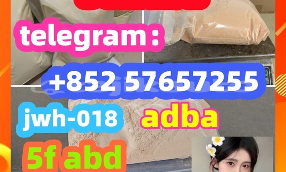 Medium with watermark 31