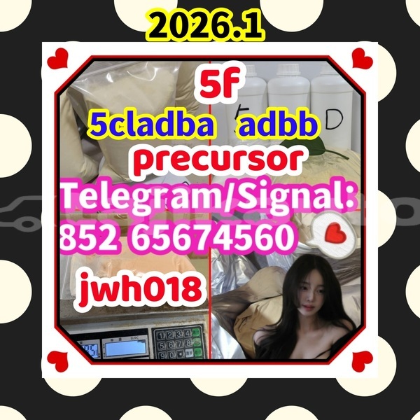 Big with watermark %e6%a8%a1%e6%9d%bf5c %e5%89%af%e6%9c%ac