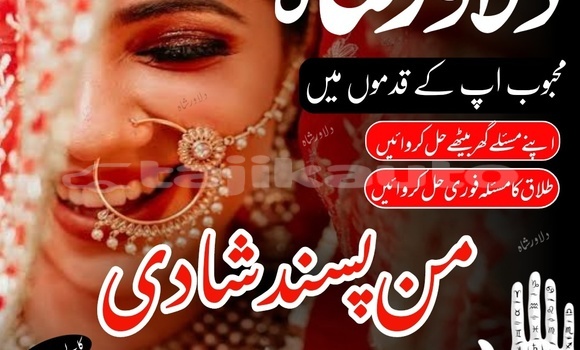 Buy Used Alpina B6 Brown Car in Dushanbe in Dushanbe