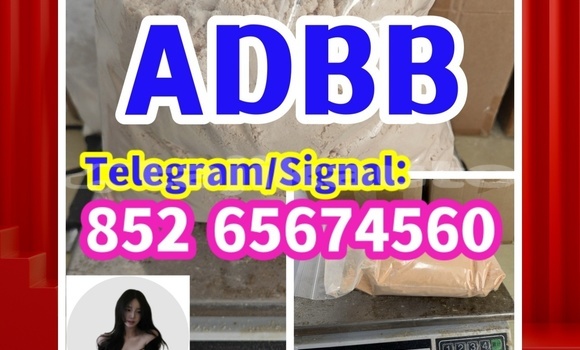 Buy 5cladba raw material in Dangara in Khatlon Buy 5cladba raw material in Dangara in Khatlon