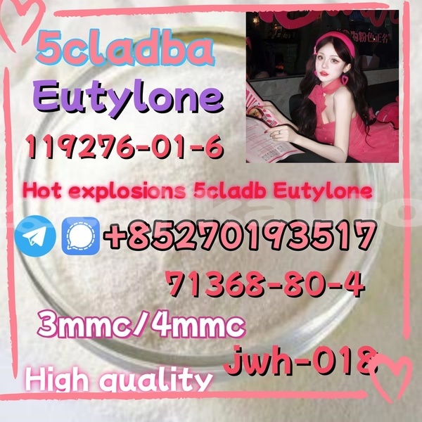 Big with watermark 1