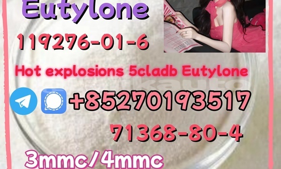 Medium with watermark 1