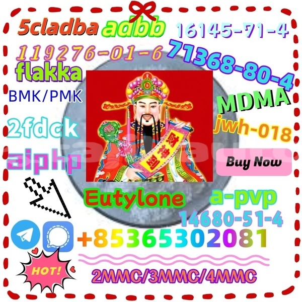 Big with watermark 1 11