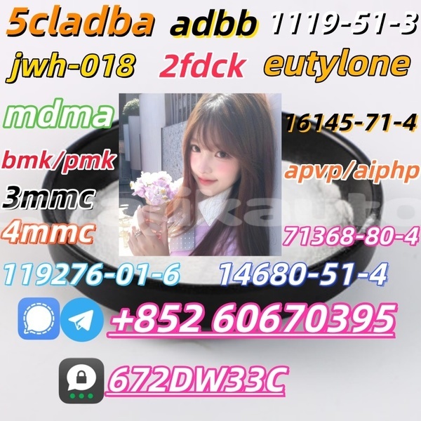 Big with watermark 1694394618707