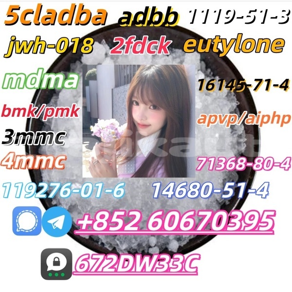 Big with watermark supply high quality beta methylphenethylamine hydrochloride cas 22374 89 6 4395 73 7 20388 87 8 705 60 2 5337 93 9 37148 47 3 102 97 6 n isopropylbenzylamine 2 