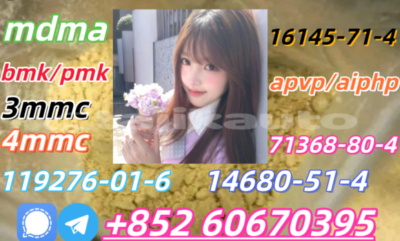 Medium with watermark 0bd1e2392bc73c9a239a11a5ec8bdeb7