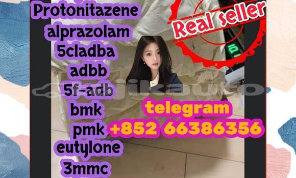 Medium with watermark 13