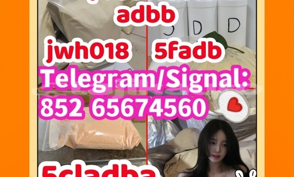 Buy supply EU in Ayni in Sughd Buy supply EU in Ayni in Sughd