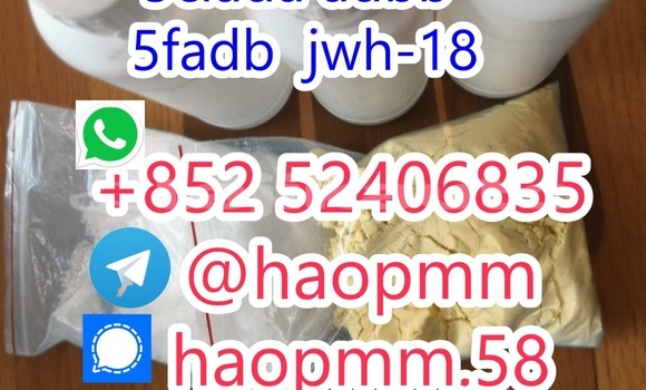 Medium with watermark 5