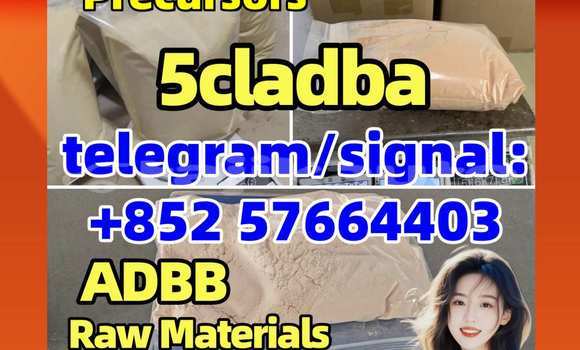 Medium with watermark 5cc2