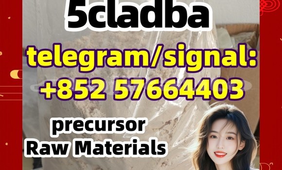 Medium with watermark 5cl2