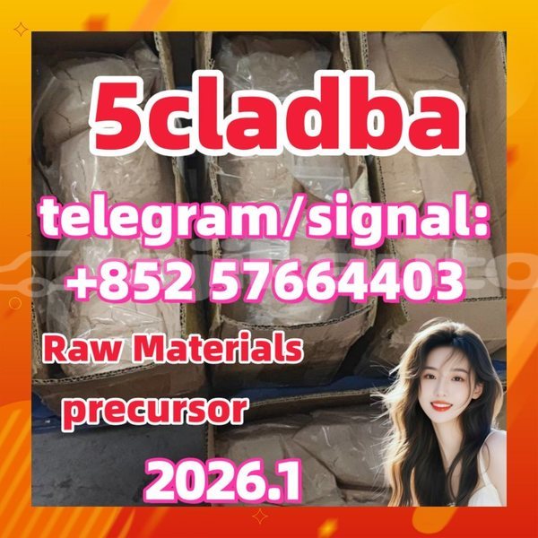 Big with watermark 52