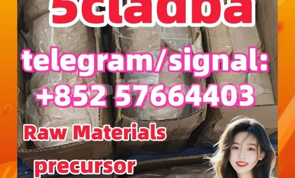 Medium with watermark 52