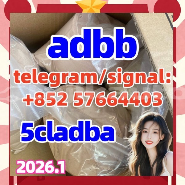 Big with watermark 522