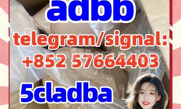 Medium with watermark 522