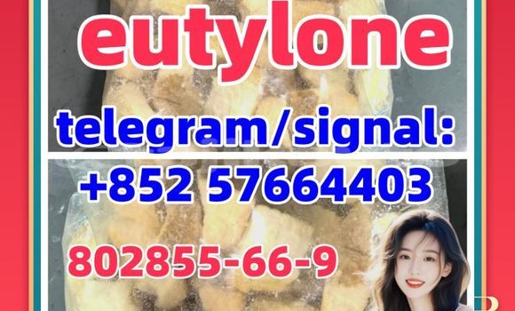 Medium with watermark e7