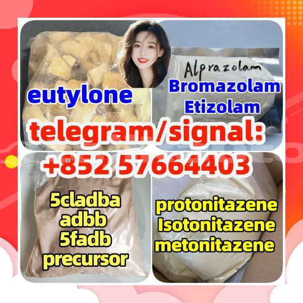 Big with watermark z2