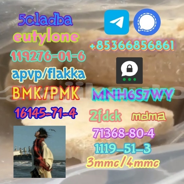 Big with watermark 1 479 