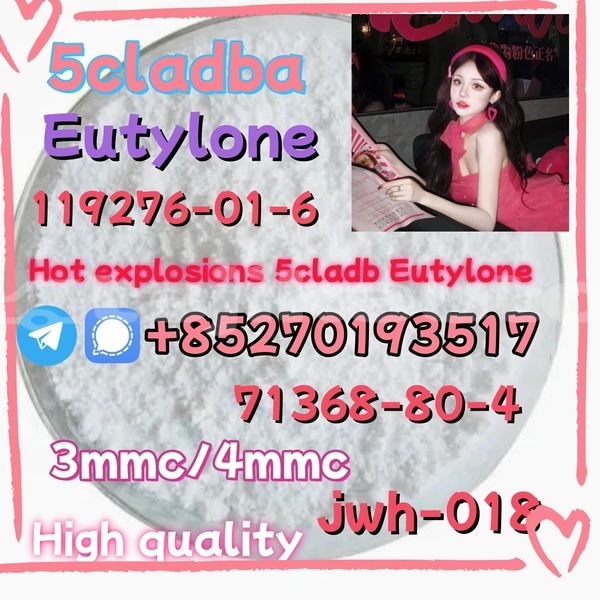 Big with watermark aaa1 14 