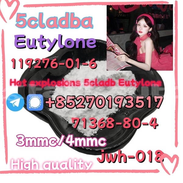 Big with watermark aaa1 13 