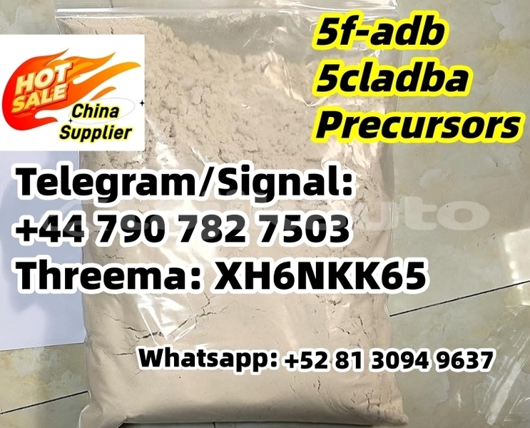 Big with watermark 1750901480531 %e5%89%af%e6%9c%ac