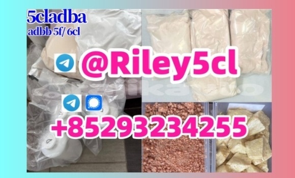 Medium with watermark 6