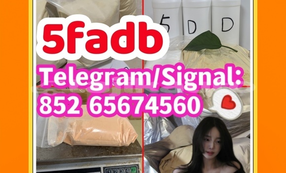 Buy Predám supply EU, in Chkalov in Sughd Buy Predám supply EU, in Chkalov in Sughd