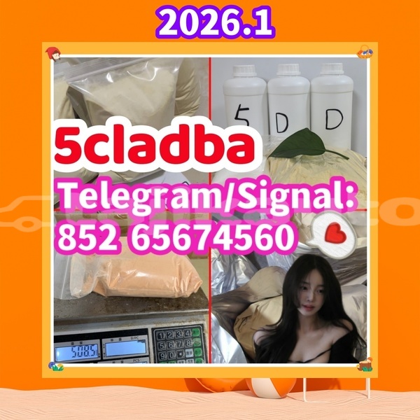 Big with watermark 5cladba11 %e5%89%af%e6%9c%ac