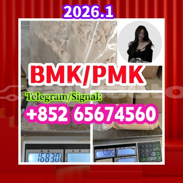 Big with watermark bmk1 %e5%89%af%e6%9c%ac