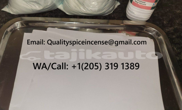 Medium with watermark untitled