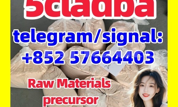 Medium with watermark 5c33