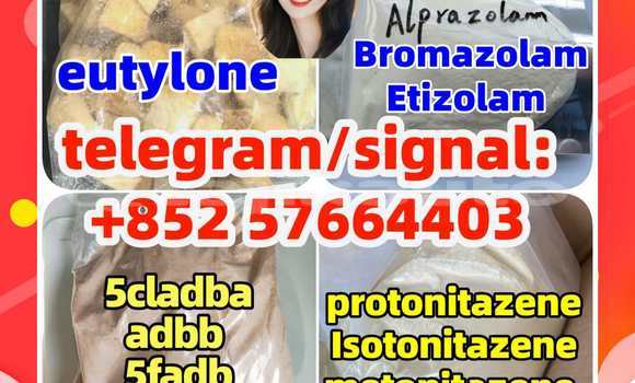 Medium with watermark z2