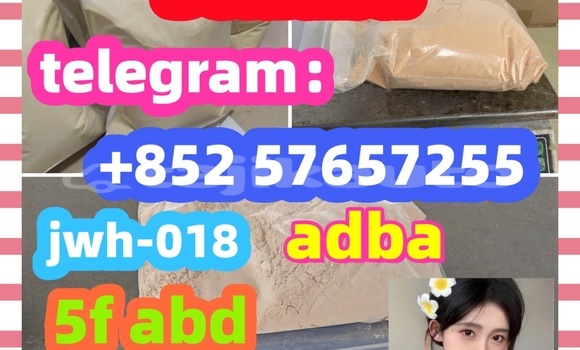 Medium with watermark 22