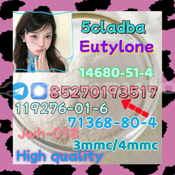 Big with watermark 1